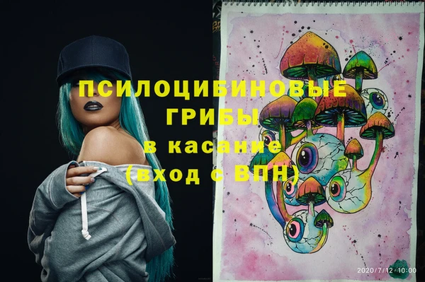 скорость Елизово