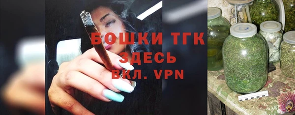 ALPHA PVP Ельня