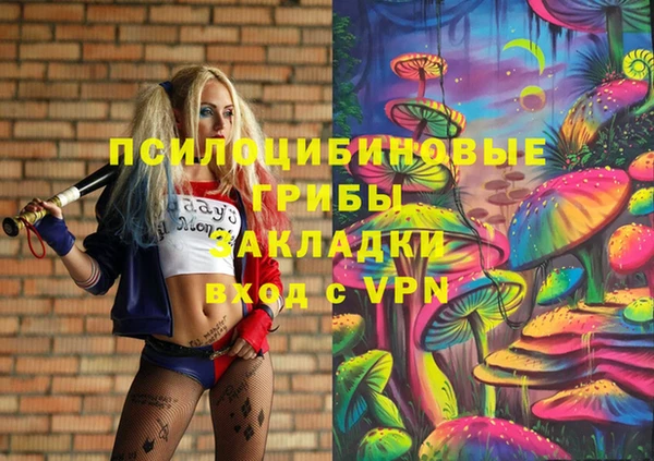 PSILOCYBIN Дмитровск