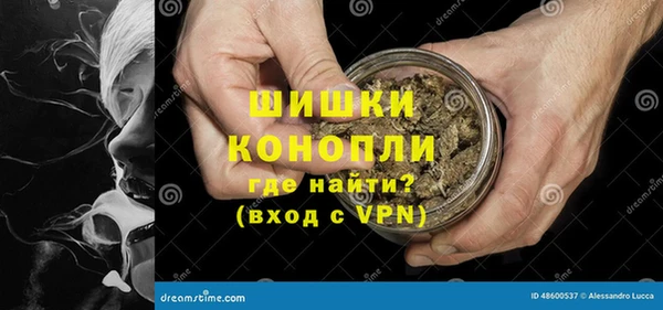PSILOCYBIN Дмитровск