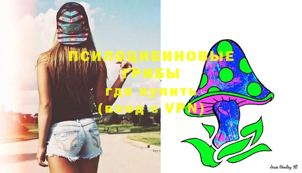 PSILOCYBIN Дмитровск