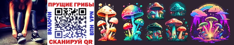 Купить где  Каменка  Псилоцибиновые грибы Magic Shrooms 